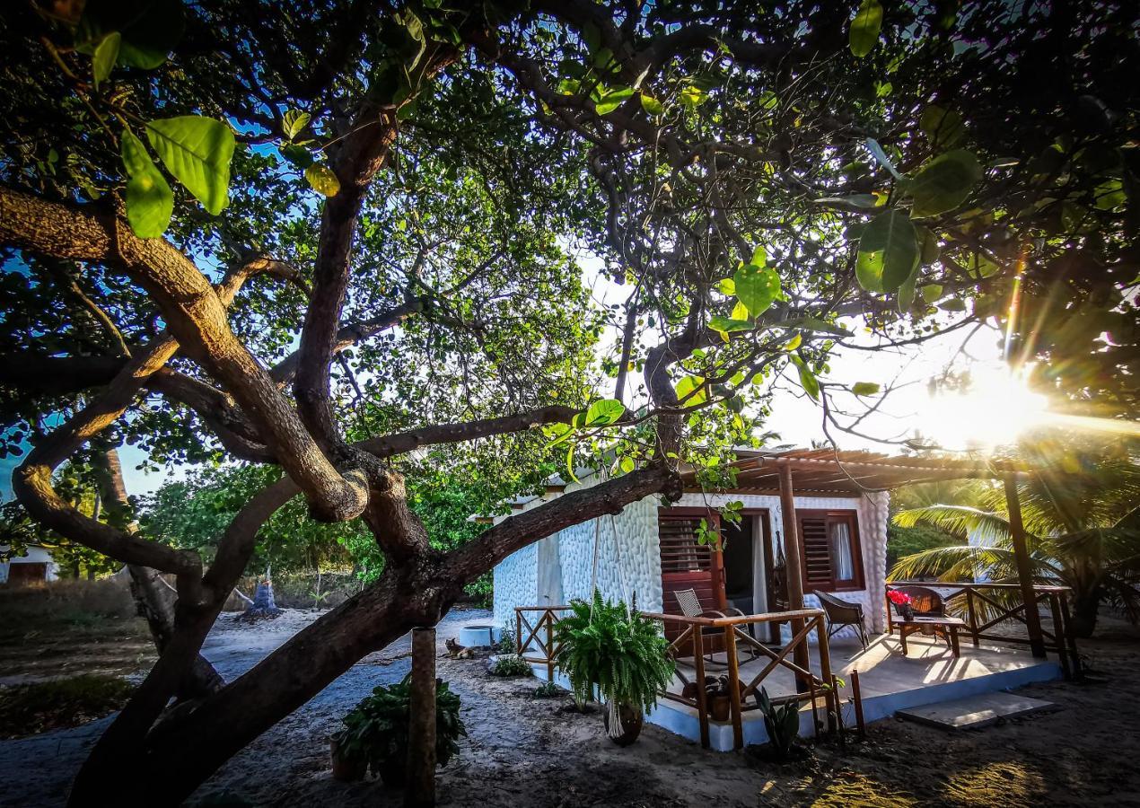 Lodge Sitio Borala